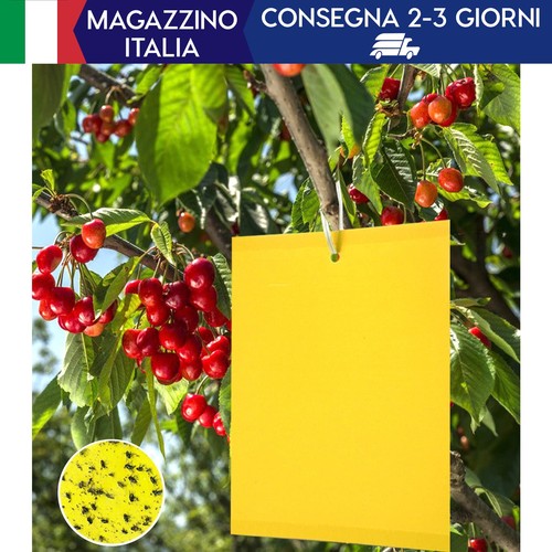 100 pezzi trappole appiccicose - 100,